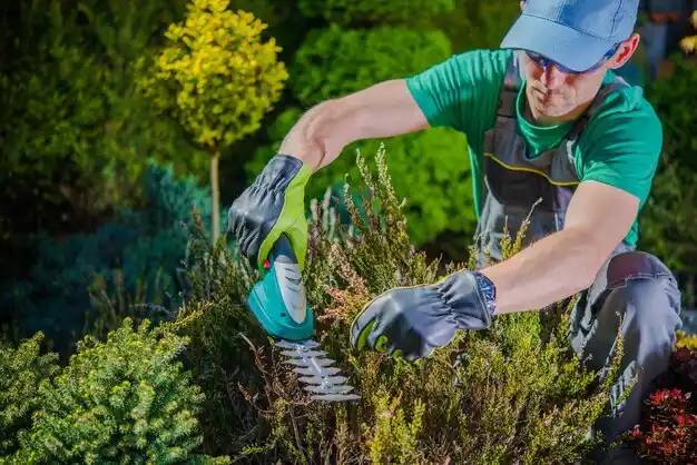 landscaping services Canal Winchester